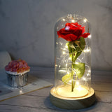 1 x RAW Customer Returns Beauty and the Beast Rose, Forever Rose, Eternal Rose in Transparent Dome, Rose Gift for Mother s Day, Anniversary, Birthday, Valentine s Day, Room Decor - RRP €23.59