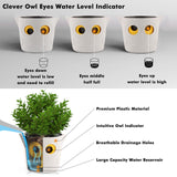 1 x RAW Customer Returns Restmo Set of 3 Self-Watering Planters, 12.7cm Owl Flower Pot with Owl Eye Water Level Indicator, Plastic Flower Pots for Indoor Plants, African Violets, Succulents, Off-White - RRP €32.4