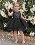 1 x RAW Customer Returns AGQT Baby Girls Tutu Tulle Dress Sleeveless Party Dress Princess Sequins Flower Girl Dress Black 18-24 Months - RRP €31.25