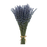 1 x RAW Customer Returns CoolCrafts Dried Lavender Bundle 100 Stems Dried Lavender Bouquet Decoration - RRP €13.87