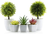 1 x RAW Customer Returns NVTUUK 5 Pieces Potted Plant Artificial Plants Mini Potted Artificial Plants with White Plastic Pot, 3 Artificial Succulent Plants 2 Faux Green Plants - RRP €20.16