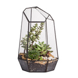 1 x RAW Customer Returns NCYP 16.5x16.5x25cm Glass Geometric Terrarium, Irregular Prism, 25cm High Flower Pot for Succulents, Fern Without Plants  - RRP €36.99