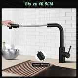 1 x RAW Customer Returns DJS kitchen faucet, black kitchen faucet, kitchen faucet with DUAL FUNCTION, stainless steel kitchen mixer tap, pull-out kitchen sink faucet, good for the kitchen, black - RRP €64.99