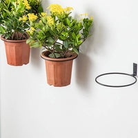 1 x RAW Customer Returns WUWEOT 6 pieces wall mount flower pot 10 cm flower pot holder wall ring wall mounting plants plant holder for home garden balcony black - RRP €18.99