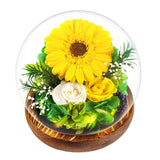 1 x RAW Customer Returns Sunflower gift for women, eternal infinity flowers in a glass, Touloube sunshine inspirational birthday gift for women girlfriend mom grandma, gift woman girlfriends birthday, Jaune - RRP €33.73