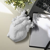 1 x RAW Customer Returns VAYALT Heart Vase Anatomical Decorative Creative Resin Heart Vase Heart Shaped Statue Planter Aesthetic Decoration for Desktop Ornament Flower Arrangement White  - RRP €20.16