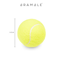 1 x RAW Customer Returns BRAMBLE 15 Tennis Balls with Carrying Bag for Sports, Training Play - Strong - RRP €20.99