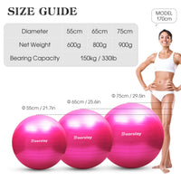 1 x RAW Customer Returns Doorslay exercise ball including air pump, yoga ball 55cm 65cm 75cm, stability Pilates ball training ball, anti-burst fitness ball for fitness, yoga, gymnastics, core training, office - RRP €20.99