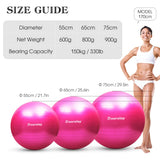 1 x RAW Customer Returns Doorslay exercise ball including air pump, yoga ball 55cm 65cm 75cm, stability Pilates ball training ball, anti-burst fitness ball for fitness, yoga, gymnastics, core training, office - RRP €20.99