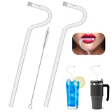 1 x RAW Customer Returns Winter Shore Anti-Wrinkle Glass Straws Pack of 2 - Long Reusable Straws with Curved Design for Natural Drinking in a Glass, Coffee Mug or Water Bottle - Includes Cleaning Brush - RRP €8.99