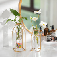 1 x RAW Customer Returns Sziqiqi Metal Test Tube Flower Vase - Gold Frame Vase with Glasses 19.5 24.5cm Modern Wire Vase for Living Room Table Decoration Design Geometric Vase for Rose Plants Pampas Dried Flowers - RRP €23.15