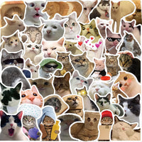 1 x RAW Customer Returns Cat Meme Stickers for Laptop 50 PCS ,Gift for Kids Teens Adults Boys,Meme Stickers Waterproof Vinyl Stickers for Scrapbook,Skateboard,Car,Luggage - RRP €7.04