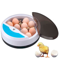 2 x RAW Customer Returns CHIKERS incubator fully automatic - incubator chickens 9 12 eir - incubator with temperature control ideal for use in the home or as a gift for children - RRP €90.32