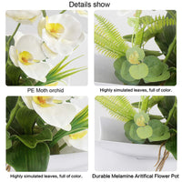 1 x RAW Customer Returns RERXN Decorative Real Touch Fake Orchid Bonsai Artificial Flowers with Imitation Porcelain Flower Pots Phalaenopsis Flowers Arrangements for Home Decoration White  - RRP €30.24