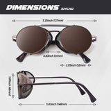 1 x RAW Customer Returns CGID E92 Steampunk Retro Style Inspired Metal Circle Round Polarized Sunglasses for Men Women Brown - RRP €19.98