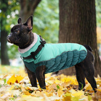 1 x Brand New ASENKU Warm Dog Coats, Winter Dog Jacket with Harness, Waterproof Dog Coat with Abdominal Protection, Suitable for Small and Large Dogs, Blue, S - RRP €18.0