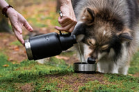 1 x RAW Customer Returns PFEFFERPAW Premium dog drinking bottle for on the go with CARRYING BAG 1L thermos bottle BPA-free Outdoor drinking bottle for dogs for traveling and camping - RRP €28.22