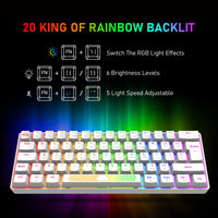 1 x RAW Customer Returns LEAVEN T60-60 Percent Mechanical Gaming Keyboard, QWERTY Layout Wired Keyboard with Blue Switches, RGB LED Lighting Type C Anti-Ghosting for PC MAC PS4 Gamer and Work, White - RRP €32.77