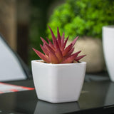 1 x RAW Customer Returns NVTUUK 5 Pieces Potted Plant Artificial Plants Mini Potted Artificial Plants with White Plastic Pot, 3 Artificial Succulent Plants 2 Faux Green Plants - RRP €20.16