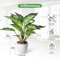 1 x RAW Customer Returns YunYite Artificial Plants 36cm Dieffenbachia Picta Mini Green Plastic Indoor Pot for Living Room Apartment Balcony Office - RRP €21.13