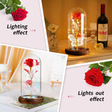 1 x RAW Customer Returns Mother s Day Gifts for Mom, Eternal Rose in a Glass Gift for Mom, Rose in a Glass Dome with LED Light Wooden Base for Girlfriend Wife on Mother s Day Birthday Valentine s Day Anniversary - RRP €20.46