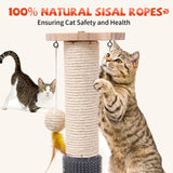 2 x Brand New FUNCREVITY Cat Toy Sisal Scratcher Interactive Cat Treat Dispenser Toy Wooden Ball Track Dangling Feather Toy Massage Brush and Catnip Balls Ideal for Indoor Cats and Kittens - RRP €58.46