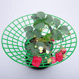 1 x RAW Customer Returns GIONAR 10 pieces strawberry support stand, strawberry rack, balcony strawberry nets, protect strawberries from dust and snails, creates a safe distance from the ground - RRP €19.2