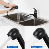 1 x RAW Customer Returns Auralum kitchen faucet pull-out black, sink faucet with 360 rotation, rinsing shower kitchen faucet sink faucet pull-out sink faucet with shower - RRP €39.31