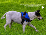 15 x Brand New Breathable and Adjustable Premium Anti-Pull Dog Harness, Durable Padded Vest for Training and Walking with Pocket, Reflective Tapes, Large Medium Small Dog Collar L  - RRP €222.9