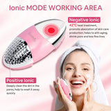 1 x RAW Customer Returns SUNMAY Oval Sonic Facial Cleansing Brush and Facial Firming Device Facial Massager with Positive and Negative Ion Function for All Skin Types - RRP €34.99