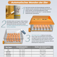 1 x RAW Customer Returns Hethya incubator fully automatic hatchery fully automatic incubator chickens for 24-36 eggs, incubator with automatic egg turning, humidity display and automatic water addition - RRP €84.8