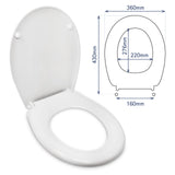 1 x RAW Customer Returns VICTORIA ROCA COMPATIBLE TOILET SEAT EASY INSTALLATION AND CLEANING STAINLESS STEEL HINGE QUALITY MATERIALS SCRATCH AND CHEMICAL RESISTANT TOILET SEAT WHITE 43 x 36 x 4.5 cm - RRP €40.66