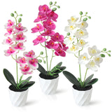 1 x RAW Customer Returns Dremisland Set of 3 Artificial Flowers Butterfly Orchid with Leaves Artificial Flowers in Pot 38cm White Pink Artificial Orchid Phalaenopsis Artificial Plant Wedding Table Decoration Silk Flower Real Touch Blossom - RRP €28.22