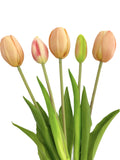 1 x Brand New MIJOMA artificial tulips, artificial flowers, real touch, table decoration tulip bunch - length 39cm, apricot  - RRP €16.63