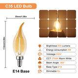 1 x RAW Customer Returns MZYOYO E14 LED candle lamp, E14 4W classic candle shape filament, E14 filament thread lamp, 2700K warm white, replaces 35 watts, not dimmable, amber glass, 10 pieces - RRP €20.15