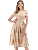 1 x RAW Customer Returns DRESSTELLS Women s Elegant For Wedding A Line Lace Dress, Cocktail Dresses Festive, Knee Length Evening Dresses, Off Shoulder Evening Dresses, Short Sleeve Swing Pleated Skirt, Champagne S - RRP €40.33