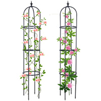 1 x RAW Customer Returns 2 pieces trellis garden trellis trellis obelisk, Deaunbr tomato trellis coated metal obelisk trellis garden column plants trellis trellis column for roses, tomatoes, climbing plants - RRP €36.29