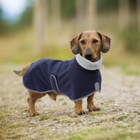 2 x Brand New MOREZI Dachshund jacket, cashmere lining, puppy winter jacket with reflective trim and high collar, dog snow jacket with adjustable velcro fastening-Navy blue-XL - RRP €56.44