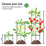 1 x RAW Customer Returns Pack of 2 tomato and cucumber trellises Adjustable trellises for tomatoes Tomato trellises Tomato trellises Tomato stakes Tomato columns Flowers plants - RRP €26.1