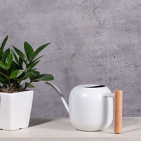 1 x RAW Customer Returns IMEEA 1L wooden handle watering can, smaller potted plants, stainless steel watering can with long spout and comfortable for houseplants succulents white  - RRP €34.07