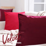 1 x RAW Customer Returns Deconovo Set of 2 Cushion Covers 45x45 CM for Sofa Bedroom, Modern Soft Resistant Pillow Covers, in Velvet, with Invisible Zipper, Wine - RRP €15.13