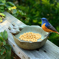 3 x RAW Customer Returns Rigute bird bath frost-proof with birds round green bird bath feeding bowl bird basin garden decoration frost-proof - RRP €59.73