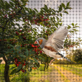 1 x RAW Customer Returns Ohuhu bird protection net garden net 2mx20m, heavy-duty reusable pond net, pool net fruit tree network, tear-resistant bird net, leaf net with 50x cable ties for garden balcony, mesh 15mm - RRP €37.37