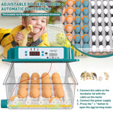 1 x RAW Customer Returns Fully automatic incubator chicken incubator chickens with automatic rotation system and temperature control, egg incubator hatching machine for 12-16 eggs 16  - RRP €78.65