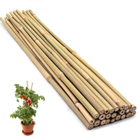 1 x RAW Customer Returns HOUNANG Bamboo Sticks 40CM - 20 pieces Plant support, plant sticks for indoor and outdoor use Natural bamboo for supporting flowers, vegetables and beans Professional plant stick - RRP €10.99