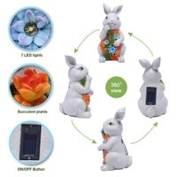 1 x RAW Customer Returns Yeomoo Solar Rabbit Figures Garden Decoration for Outdoors, Rabbit with Succulents Solar Lamp Decoration Bunny Figure Decoration Room Garden Funny Gifts for Women Children Balcony Terrace Fairy Garden 20CM - RRP €32.15