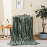 1 x RAW Customer Returns Living cuddly blankets, 150x200cm soft warm blankets sofa, olive green fleece blanket for couch, fluffy as a sofa blanket, couch blanket, cuddly blanket - RRP €22.78