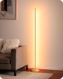 1 x RAW Customer Returns EDISHINE floor lamp living room, LED floor lamp dimmable, 3000K warm white floor lamp with memory function, height adjustable 146 cm, modern floor lamp for bedroom and office, gold - RRP €59.99