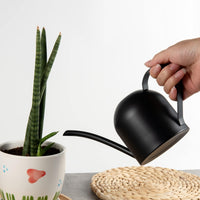 1 x RAW Customer Returns IMEEA 450ml stainless steel watering can for office and home with brushed black finish, ideal for bonsai and houseplants - RRP €24.19