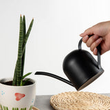 1 x RAW Customer Returns IMEEA 450ml stainless steel watering can for office and home with brushed black finish, ideal for bonsai and houseplants - RRP €24.99